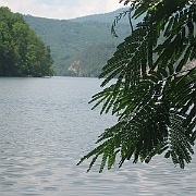 Picture 062